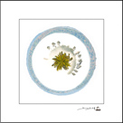 Créations originales